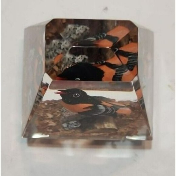 Acrylic Paperweight With Orange and Black Bird On A Branch Inside 4.25" by 5" - Picture 2 of 8